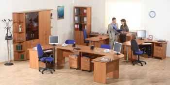Мебель для персонала Альфа 61 Ольха в Верх-Ирмени - verh-irmen.mebel54.com | фото