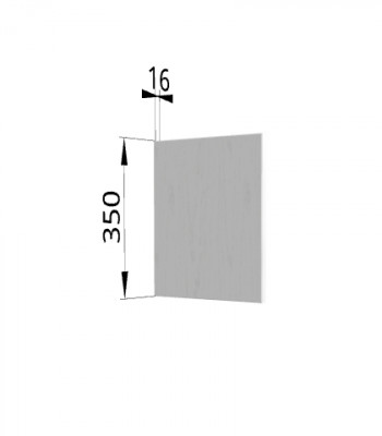 Панель торцевая (для шкафа горизонтального) ПГ Ройс (Графит софт) в Верх-Ирмени - verh-irmen.mebel54.com | фото