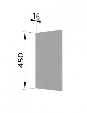 Панель торцевая (для шкафа горизонтального высокого) ВПГ Ройс (Графит софт) в Верх-Ирмени - verh-irmen.mebel54.com | фото